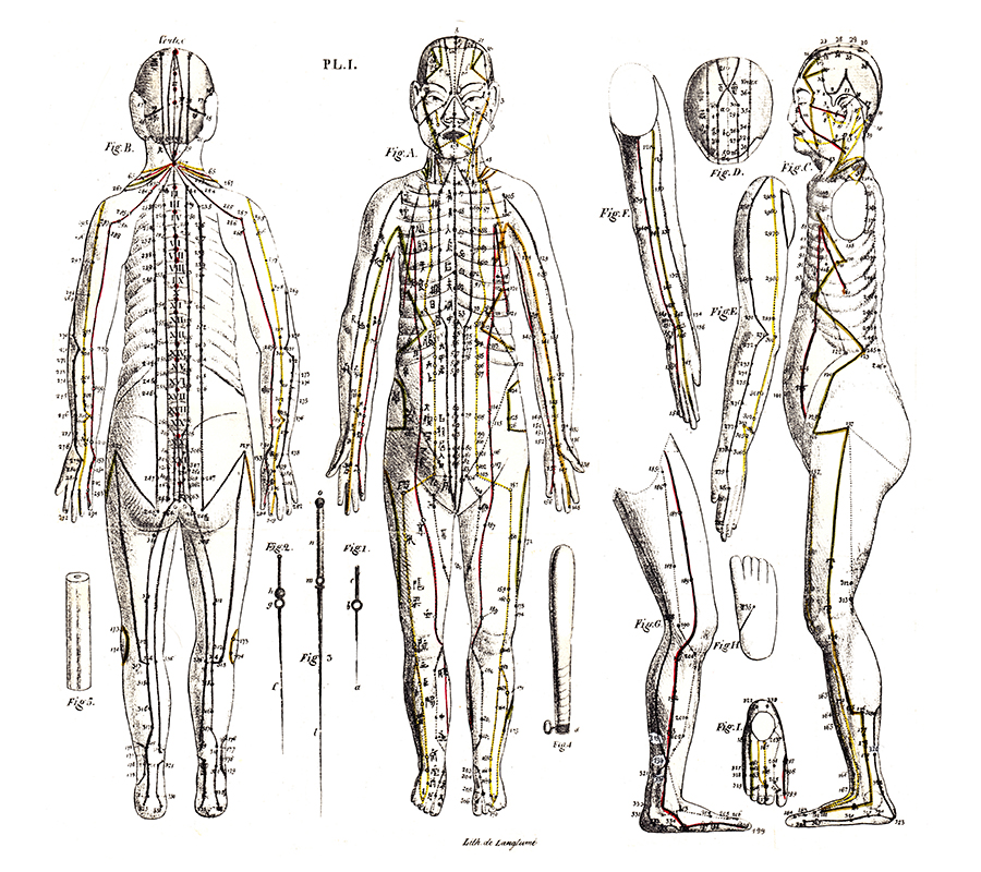 Abbildung von Akupunkturpunkten